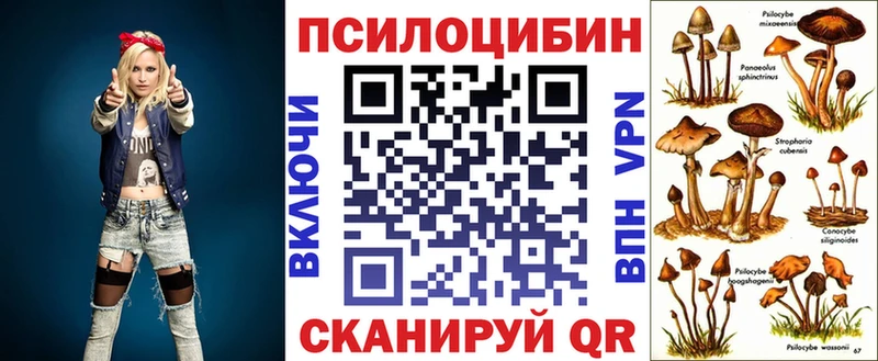 даркнет наркотические препараты Вичуга Псилоцибиновые грибы мицелий